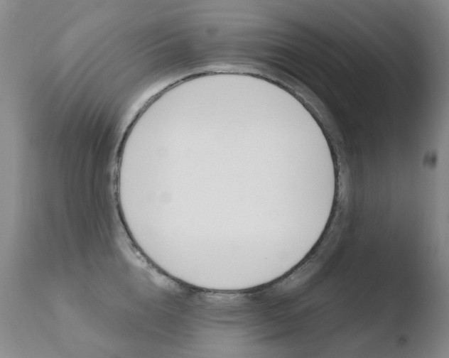 X0000110770856200906150952