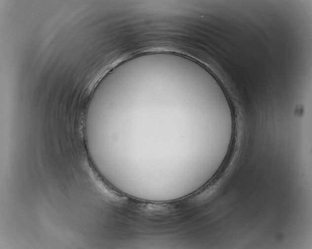 X0000110770857200906150952