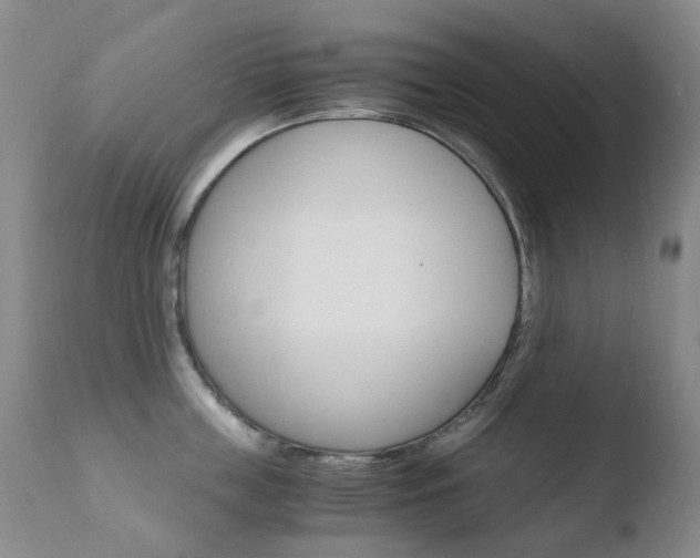 X0000110770859200906150952