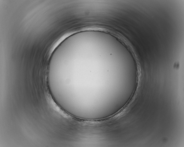 X0000110770860200906150952