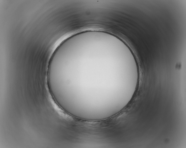 X0000110770861200906150952