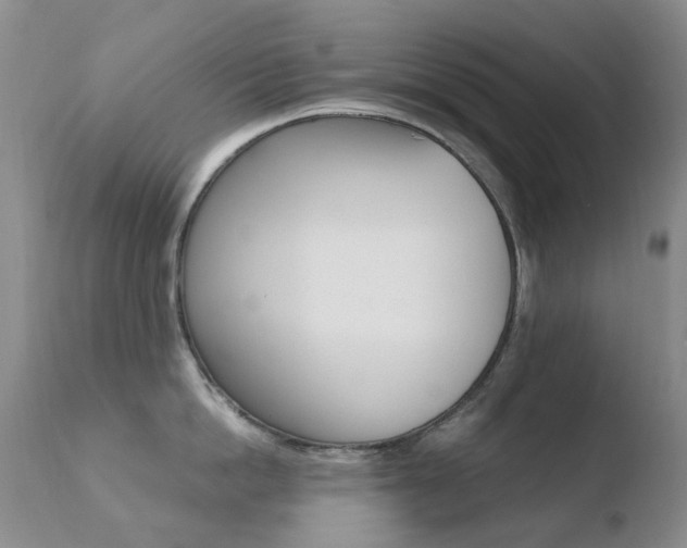 X0000110770862200906150952