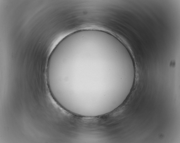 X0000110770863200906150952