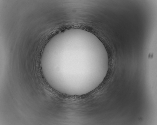 X0000110770865200906150951