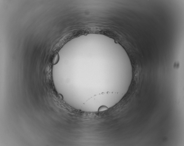 X0000110770866200906150951