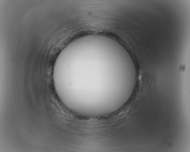 X0000110770867200906150951