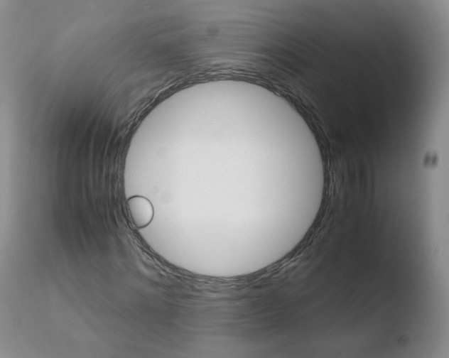X0000110770868200906150951