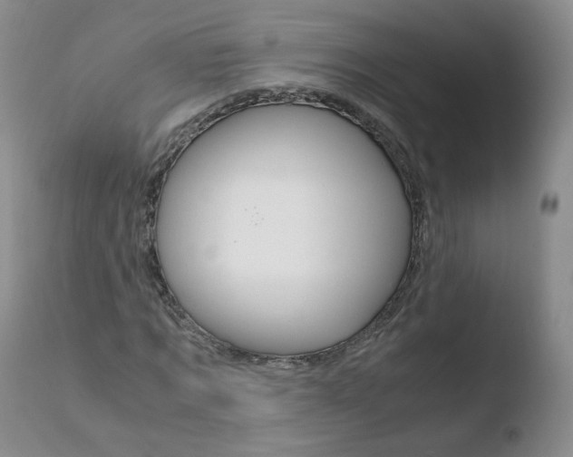 X0000110770869200906150951