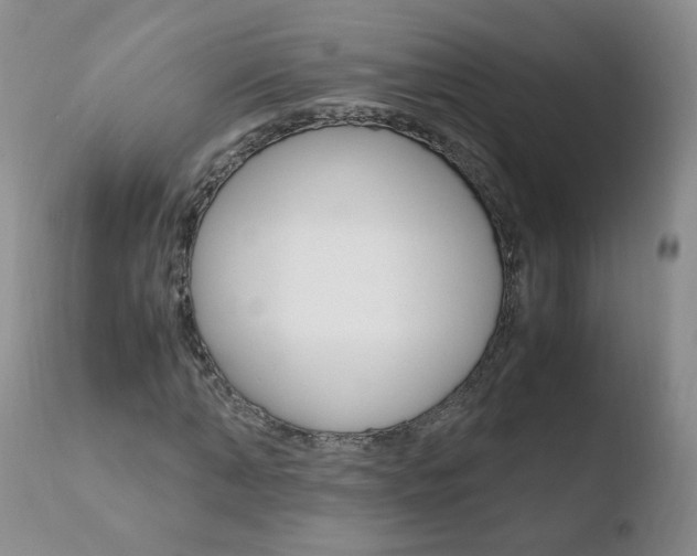 X0000110770870200906150951