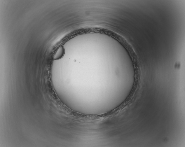 X0000110770871200906150951