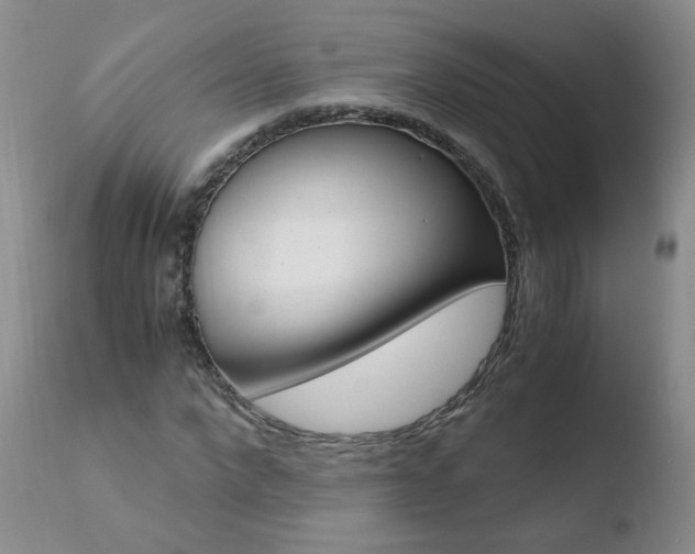 X0000110770872200906150951