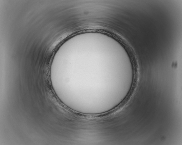 X0000110770873200906150951