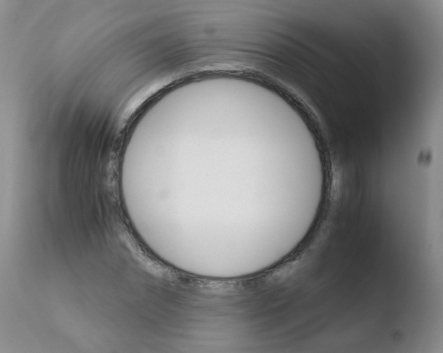 X0000110770874200906150951