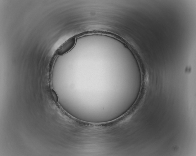 X0000110770877200906150951