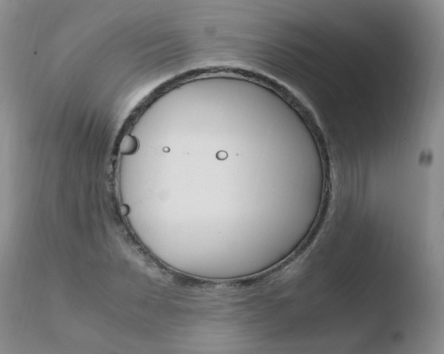 X0000110770879200906150951