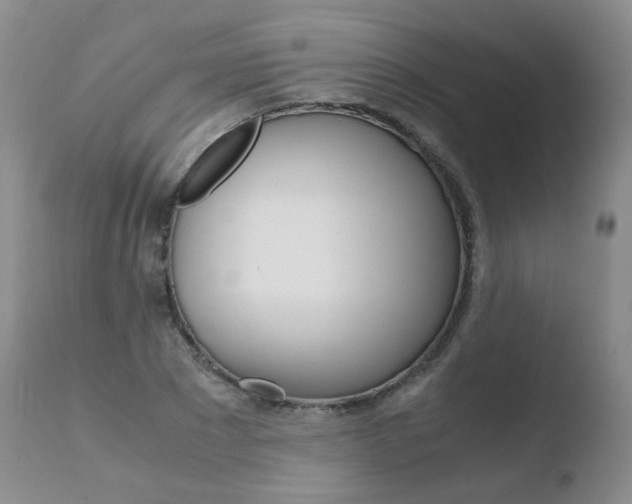 X0000110770881200906150951