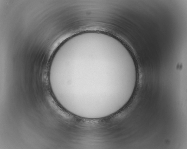 X0000110770882200906150951