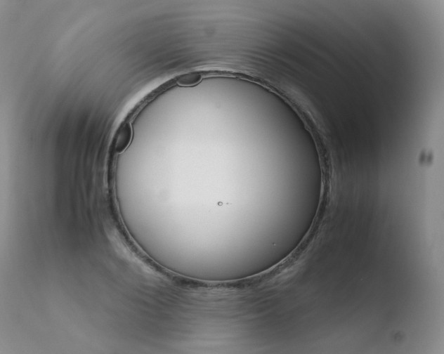 X0000110770884200906150951