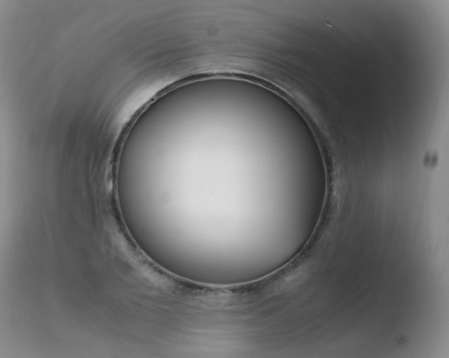 X0000110770885200906150951