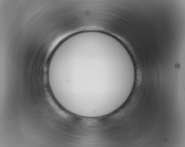 X0000110770886200906150951