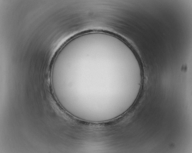 X0000110770887200906150951