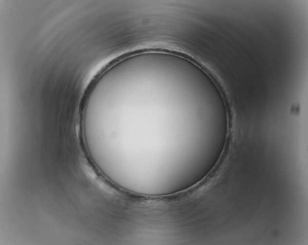 X0000110770888200906150951