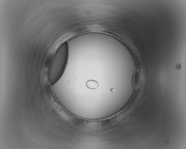 X0000110770889200906150951
