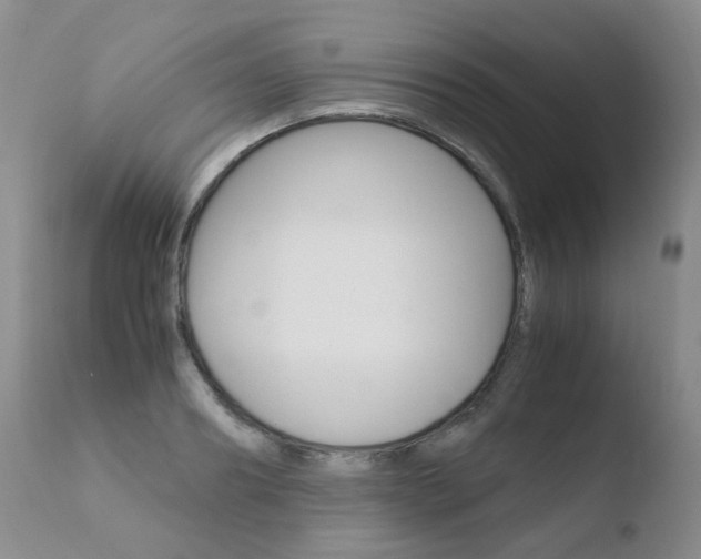 X0000110770890200906150951