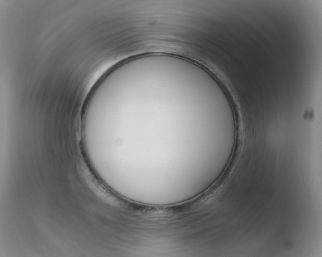 X0000110770891200906150951