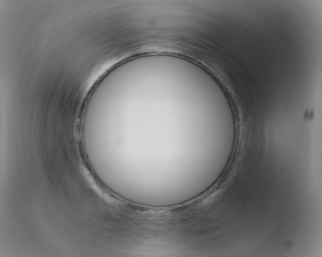 X0000110770893200906150951