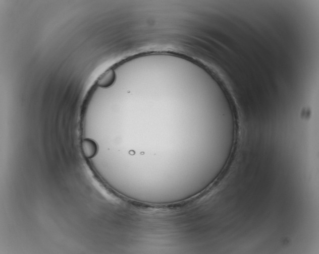 X0000110770894200906150951