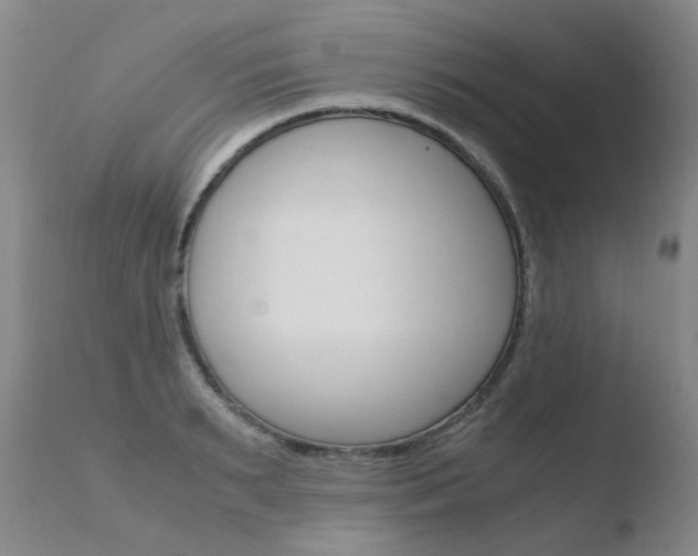 X0000110770895200906150951