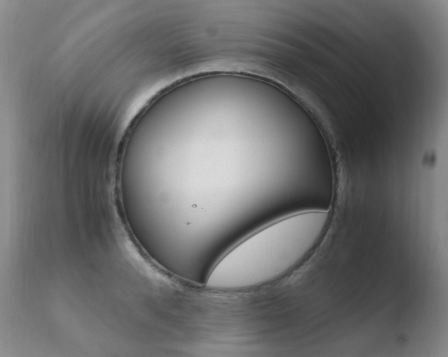 X0000110770896200906150951