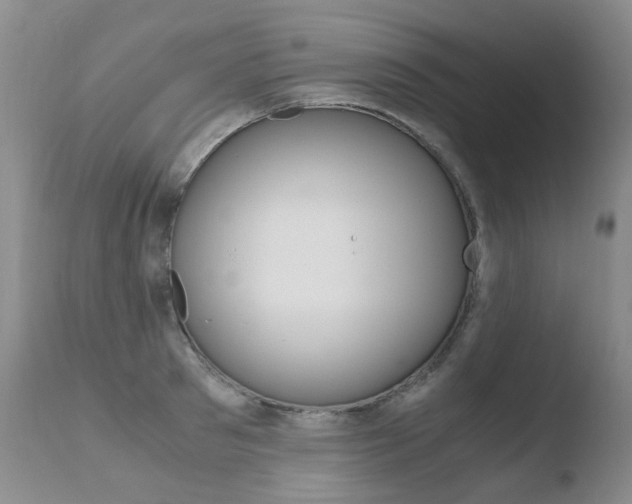 X0000110770897200906150951