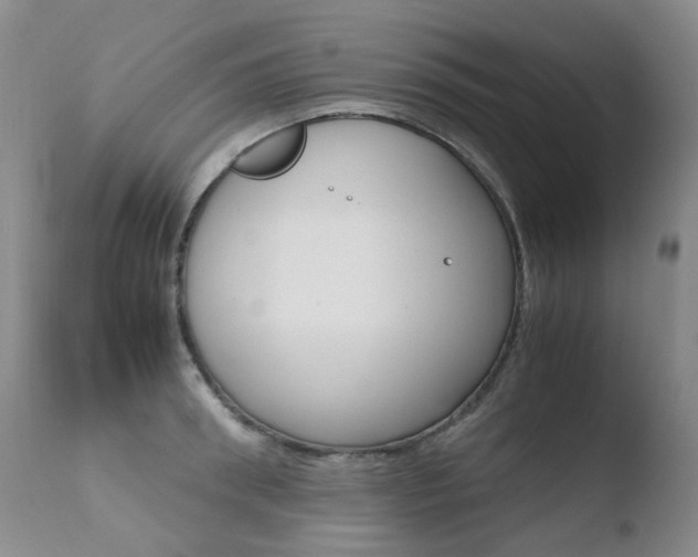 X0000110770898200906150951