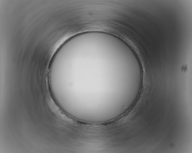X0000110770899200906150951