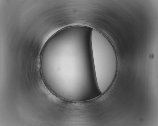X0000110770900200906150951