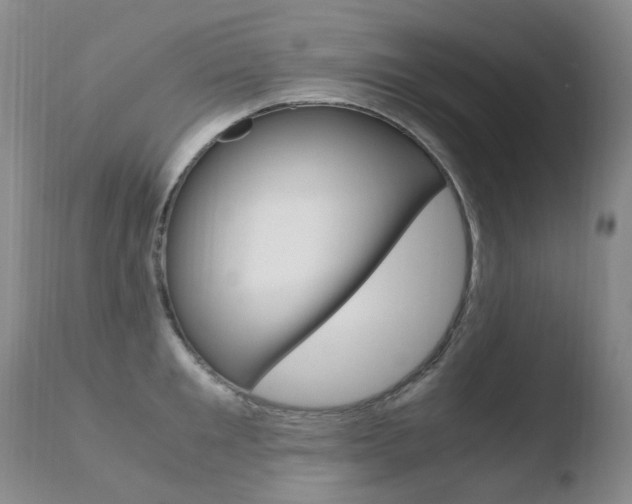 X0000110770901200906150951