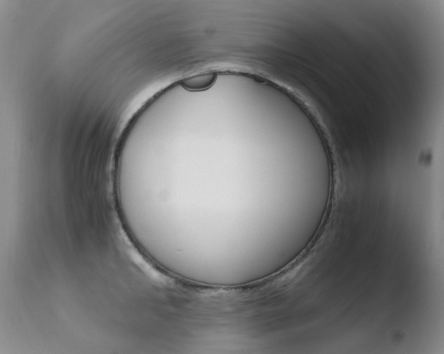 X0000110770902200906150951