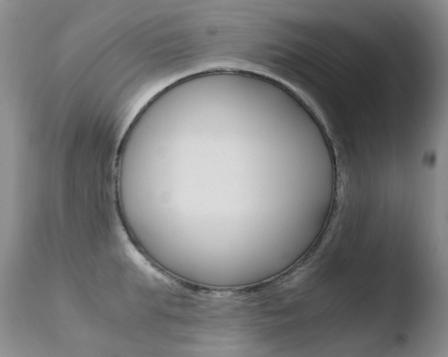 X0000110770903200906150951