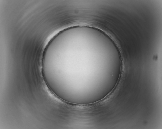 X0000110770904200906150951