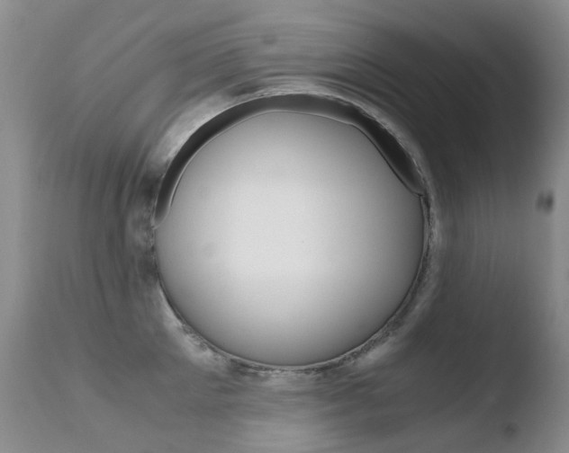 X0000110770905200906150951