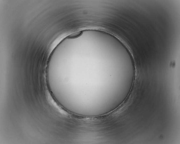 X0000110770906200906150951
