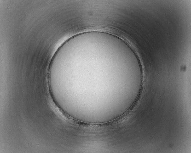 X0000110770907200906150951