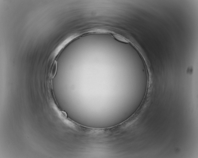 X0000110770909200906150951