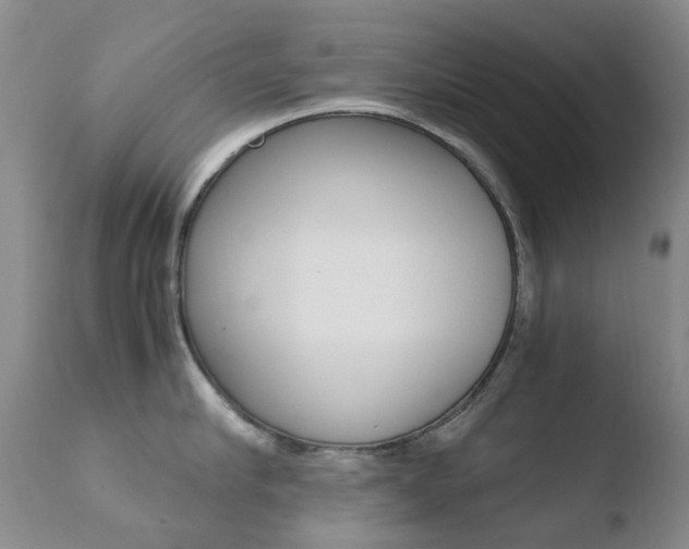 X0000110770910200906150951