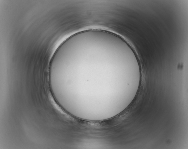 X0000110770911200906150951