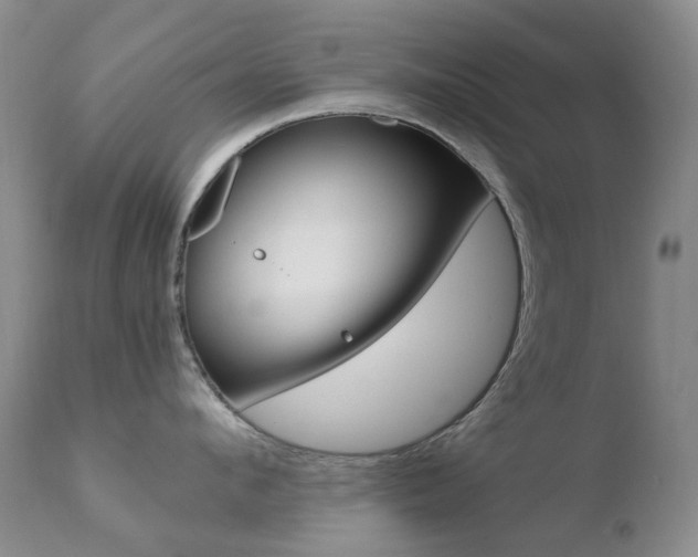 X0000110770912200906150951