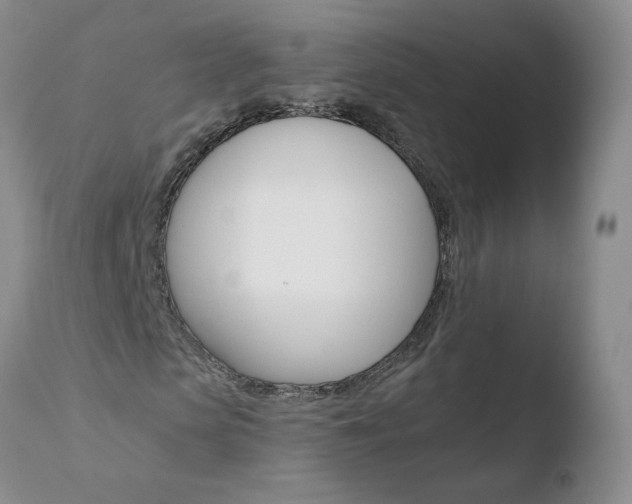 X0000110770913200906150950