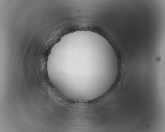 X0000110770914200906150950